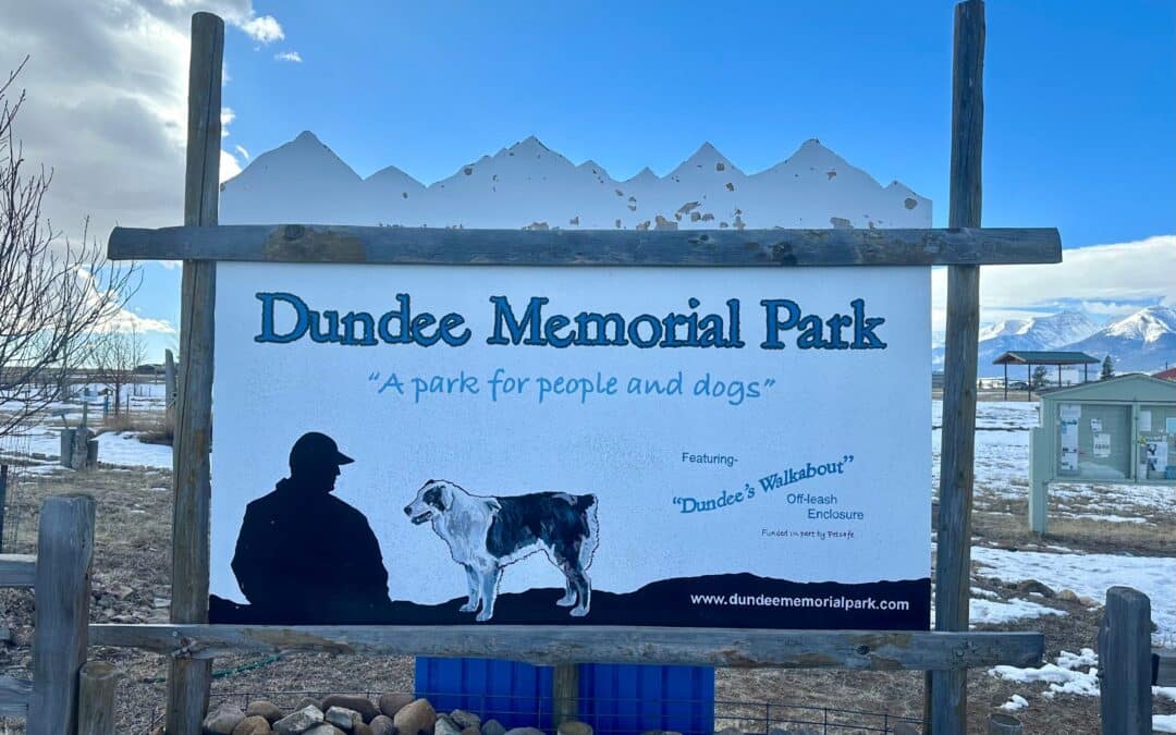 Dundee Dog Park Community Project